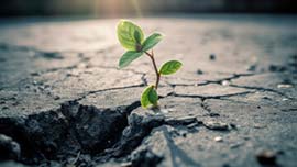 Climate change reports